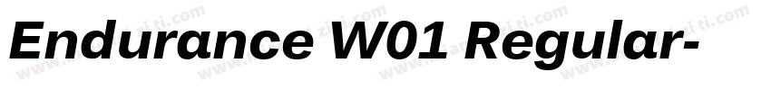 Endurance W01 Regular字体转换